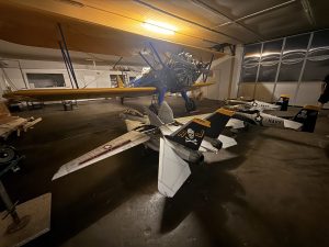 IMG 4682