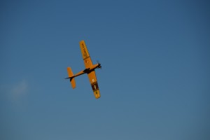 DSC 0097