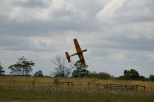 DSC 0203