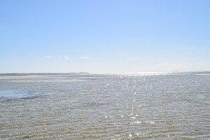 DSC 0261