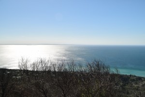 DSC 0299