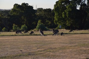 DSC 0400