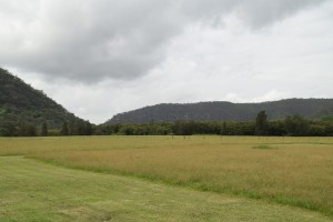 DSC 0428