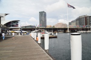 DSC 0733