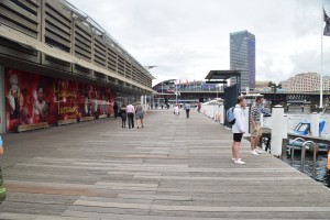 DSC 0792