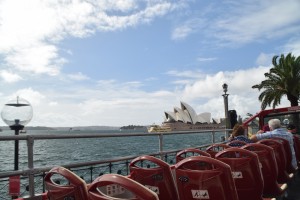 DSC 0803