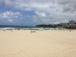 IMG 0396