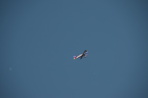DSC 0341
