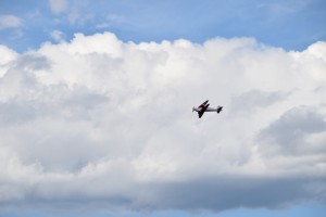 DSC 0045