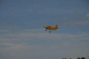 DSC 0063