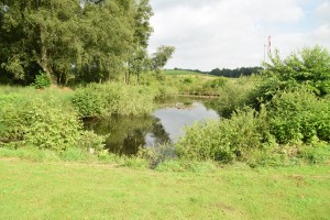 DSC 0011